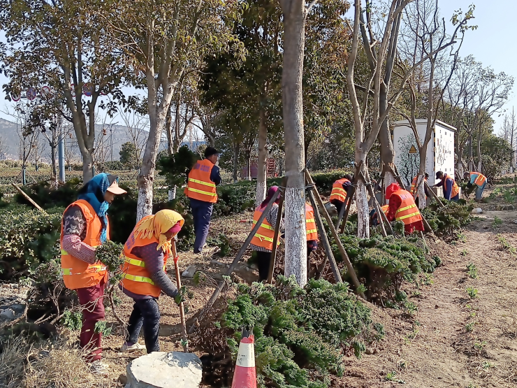 static/picture/1花果山大道路口苗木移植即将竣工1.jpg