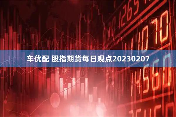 车优配 股指期货每日观点20230207