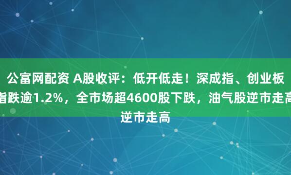 公富网配资 A股收评：低开低走！深成指、创业板指跌逾1.2%，全市场超4600股下跌，油气股逆市走高