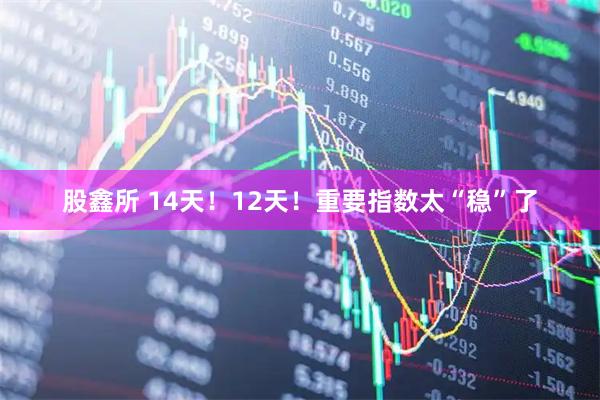股鑫所 14天！12天！重要指数太“稳”了